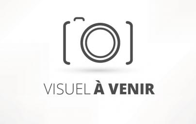 BMW X5 3.0 dAS xDrive30 MHEV TVA-BTW RECUP FULL OPTIONS