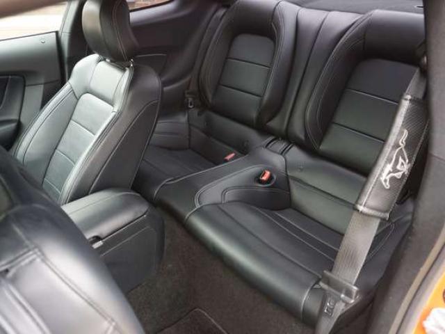 Ford Mustang 2.3 EcoBoost 317 CV NAVI BI-XENON CARPLAY PDC EU6B