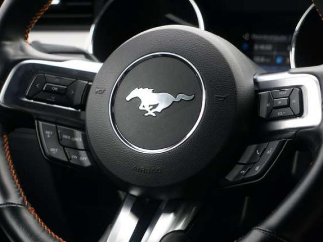 Ford Mustang 2.3 EcoBoost 317 CV NAVI BI-XENON CARPLAY PDC EU6B