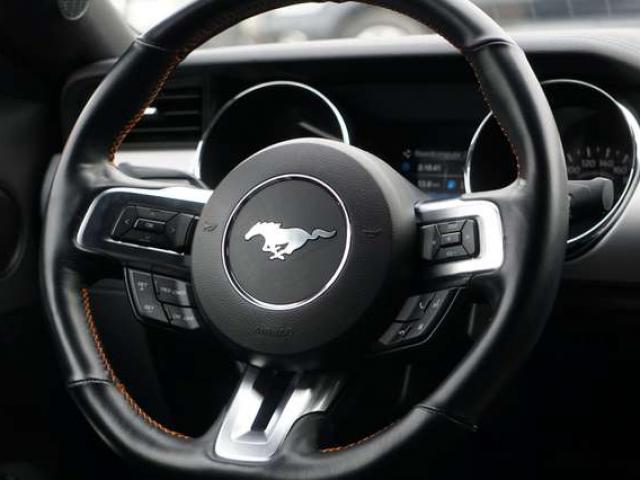 Ford Mustang 2.3 EcoBoost 317 CV NAVI BI-XENON CARPLAY PDC EU6B