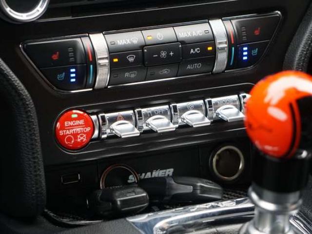 Ford Mustang 2.3 EcoBoost 317 CV NAVI BI-XENON CARPLAY PDC EU6B
