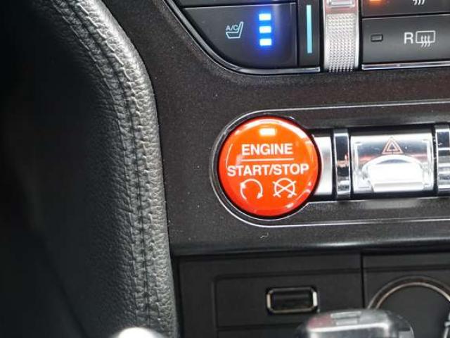 Ford Mustang 2.3 EcoBoost 317 CV NAVI BI-XENON CARPLAY PDC EU6B